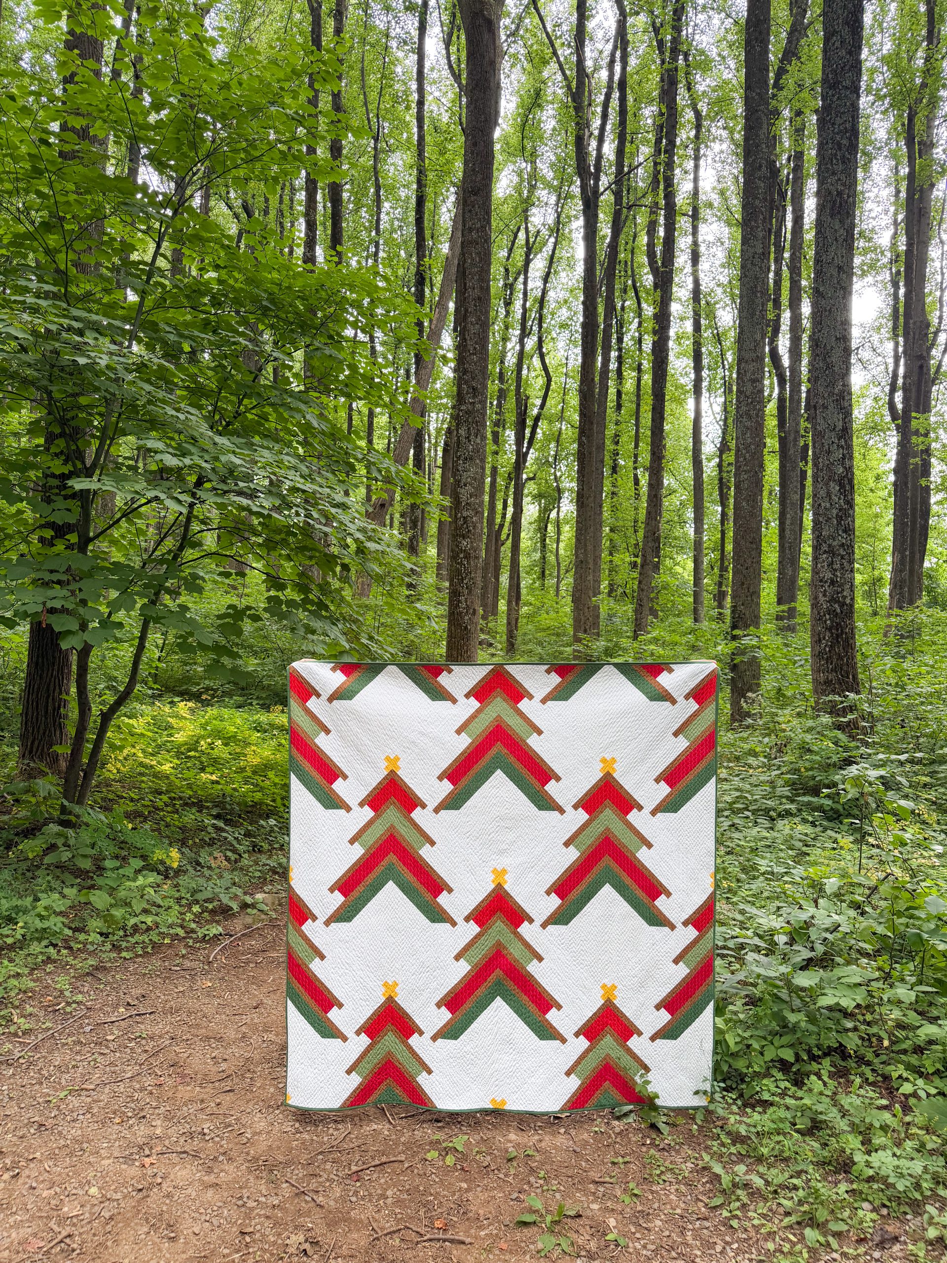 Colorful chevron quilt displayed in forest clearing